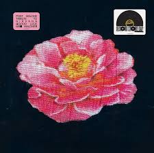 Post Malone - Post Malone Tribute To Nirvana(Rsd2025) in der Gruppe Korr_grupp /  bei Bengans Skivbutik AB (5582338)