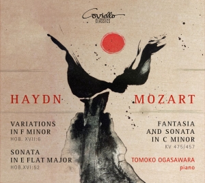 Haydn & Mozart - Piano Works in der Gruppe CD / Klassiskt bei Bengans Skivbutik AB (5582494)