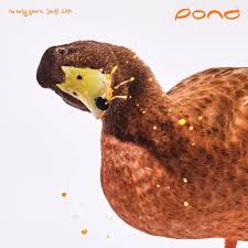 Pond - Early Years: 2008 - 2010 (180G/2Lp)  (Rsd2025) in der Gruppe UNSERE TIPPS / Record Store Day / RSD 2025 bei Bengans Skivbutik AB (5582630)