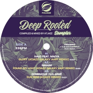 V/A - Deep Rooted (Compiled & Mixed By Atjazz) Vinyl Sampler in der Gruppe Övrigt /  bei Bengans Skivbutik AB (5583069)