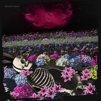 Dead Rabbitts - Redefined in der Gruppe UNSERE TIPPS / Freitagsveröffentlichungen / 2025-05-02 bei Bengans Skivbutik AB (5583131)