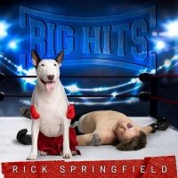 Rick Springfield - Big Hits: Rick Springfield's Greate in der Gruppe CD / Pop-Rock bei Bengans Skivbutik AB (5584159)