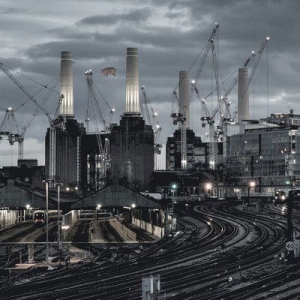 Pink Floyd - Animals (2018 Remix) in der Gruppe UNSERE TIPPS / Freitagsveröffentlichungen / 2025-03-28 bei Bengans Skivbutik AB (5584221)