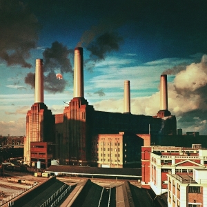 Pink Floyd - Animals in der Gruppe UNSERE TIPPS / Am beliebtesten vinylklassiker bei Bengans Skivbutik AB (5584224)