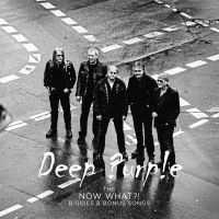 Deep Purple - The Now What?! B-Sides And Bonus Songs (Rsd2025) in der Gruppe UNSERE TIPPS / Record Store Day / RSD 2025 bei Bengans Skivbutik AB (5584266)