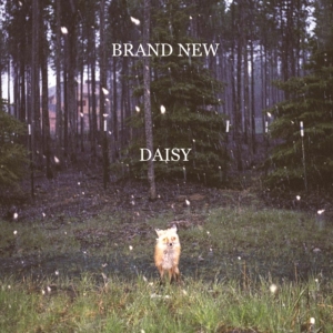 Brand New - Daisy in der Gruppe UNSERE TIPPS / Startsida - Vinyl Nyheter & Kommande bei Bengans Skivbutik AB (5584282)