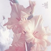 An Autumn For Crippled Children - Try Not To Destroy Everything You L in der Gruppe VINYL / Pop-Rock bei Bengans Skivbutik AB (5584366)