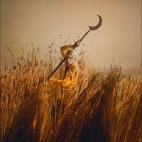 Wolf Patrick - Crying The Neck in der Gruppe VINYL / Pop-Rock bei Bengans Skivbutik AB (5584566)