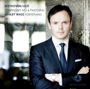 Ashley Wass - Symphony No.6 in der Gruppe Externt_Lager / Naxoslager bei Bengans Skivbutik AB (558630)