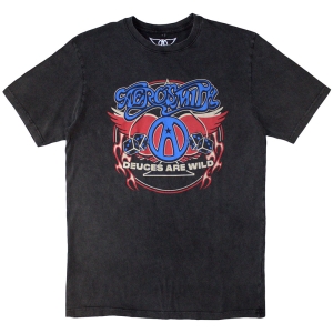 Aerosmith - Rainbow Spade Stone Wash Uni Char T-Shirt in der Gruppe MERCHANDISE / T-shirt / Hårdrock bei Bengans Skivbutik AB (5586738r)