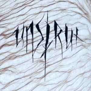 Unstrut - Unstrut in der Gruppe CD / Hårdrock bei Bengans Skivbutik AB (5587440)