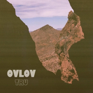 Ovlov - Tru (Brown Vinyl) in der Gruppe VINYL / Pop-Rock bei Bengans Skivbutik AB (5587495)