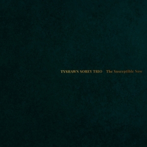 Tyshawn Sorey - Susceptible Now in der Gruppe CD / Jazz bei Bengans Skivbutik AB (5587726)