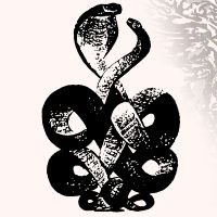 Bardo Pond - Volume 4 & 5 in der Gruppe VINYL / Pop-Rock bei Bengans Skivbutik AB (5587765)