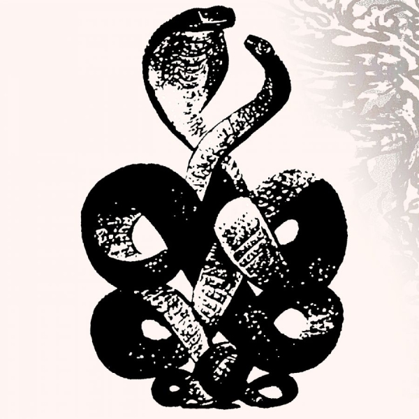Bardo Pond - Volume 4 & 5 in der Gruppe VINYL / Bestseller bei Bengans Skivbutik AB (5587765)