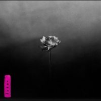 Little Simz - Lotus in der Gruppe CD / Kommande / Hip Hop-Rap,Pop-Rock bei Bengans Skivbutik AB (5587834)