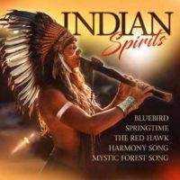 Various Artists - Indian Spirits in der Gruppe CD / Pop-Rock bei Bengans Skivbutik AB (5588004)
