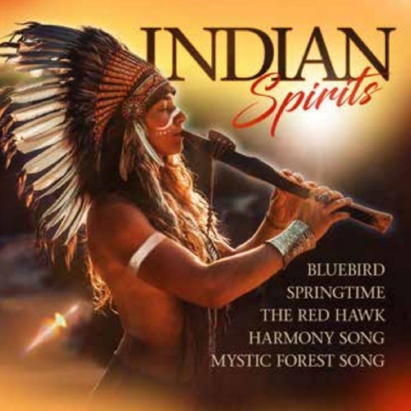 Various Artists - Indian Spirits in der Gruppe CD / Bestseller bei Bengans Skivbutik AB (5588004)