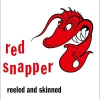 Red Snapper - Reeled And Skinned (30Th Anniversar in der Gruppe VINYL / Pop-Rock bei Bengans Skivbutik AB (5588091)