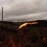 Quade - The Foel Tower in der Gruppe UNSERE TIPPS / Freitagsveröffentlichungen / 2025-04-18 bei Bengans Skivbutik AB (5588271)