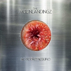 The Moonlandingz - No Rocket Required in der Gruppe VINYL / Pop-Rock bei Bengans Skivbutik AB (5588293)