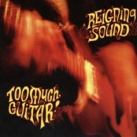 Reigning Sound - Too Much Guitar in der Gruppe CD / Pop-Rock bei Bengans Skivbutik AB (558943)