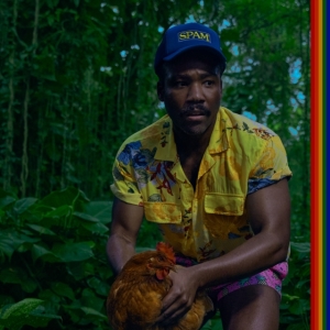Childish Gambino - Bando Stone And The New World (2LP) in der Gruppe UNSERE TIPPS / Freitagsveröffentlichungen / 2025-04-18 bei Bengans Skivbutik AB (5589464)