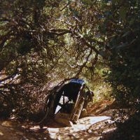 Segall Ty - Possession in der Gruppe VINYL / Kommande / Pop-Rock bei Bengans Skivbutik AB (5589492)
