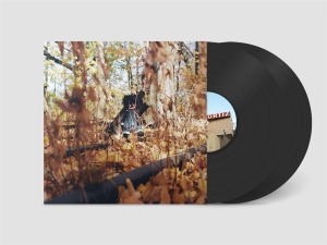 Billy Woods - Golliwog (2LP) in der Gruppe UNSERE TIPPS / Tipps von Bengans Mitarbeitern / Handverlesener Hip-Hop durch die Jahre bei Bengans Skivbutik AB (5589555)