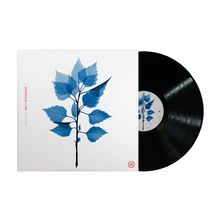 Matt Berninger - Get Sunk (Vinyl) in der Gruppe VINYL / Kommande / Pop-Rock bei Bengans Skivbutik AB (5589561)