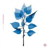 Matt Berninger - Get Sunk (Vinyl) in der Gruppe VINYL / Pop-Rock bei Bengans Skivbutik AB (5589561)