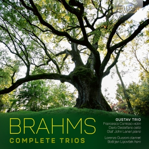 Johannes Brahms - Complete Trios in der Gruppe CD / Kommande / Klassiskt bei Bengans Skivbutik AB (5589862)