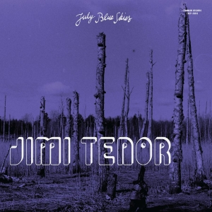 Jimi Tenor & Cold Diamond & Mink - July Blue Skies in der Gruppe CD / Pop-Rock bei Bengans Skivbutik AB (5590198)