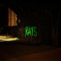 Rats - Rule The World in der Gruppe VINYL / Kommande / Pop-Rock bei Bengans Skivbutik AB (5590547)