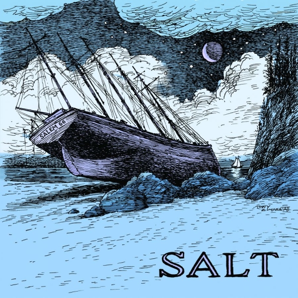 Salem 66 - Salt in der Gruppe CD / Pop-Rock bei Bengans Skivbutik AB (5591021)