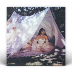 Julia Mestre - Maravilhosamente Bem in der Gruppe UNSERE TIPPS / Tipps von Bengans Mitarbeitern / Best so far in 2025 - MK bei Bengans Skivbutik AB (5591101)