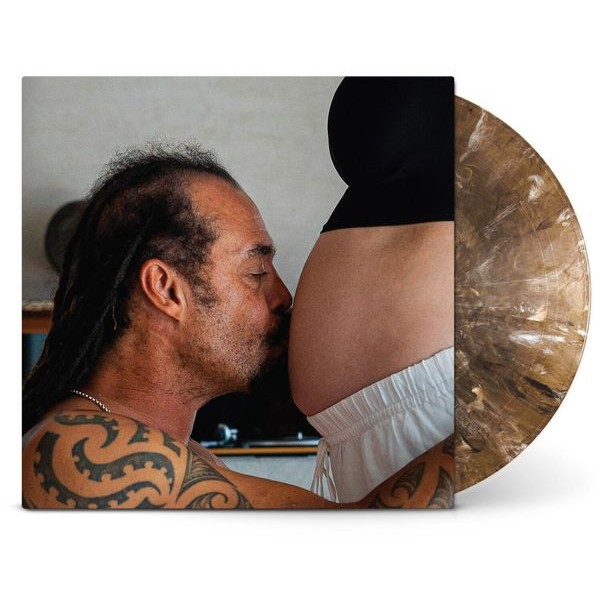 Michael Franti And Spearhead - Welcome To The Family in der Gruppe VINYL / Pop-Rock bei Bengans Skivbutik AB (5591422)