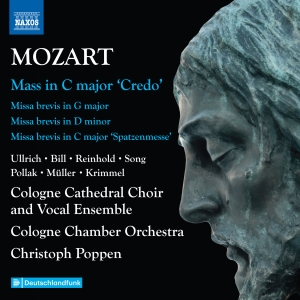 Mozart W A - Complete Masses, Vol. 6 in der Gruppe CD / Kommande / Klassiskt bei Bengans Skivbutik AB (5591736)