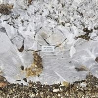 Barnes Tim - Lost Words in der Gruppe VINYL / Kommande / Pop-Rock bei Bengans Skivbutik AB (5592036)