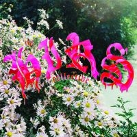Hirs Collective The - We're Still Here (White Vinyl) in der Gruppe VINYL / Kommande / Hårdrock bei Bengans Skivbutik AB (5592114)