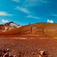 Pulp - More. in der Gruppe CD / Kommande / Pop-Rock bei Bengans Skivbutik AB (5592684)
