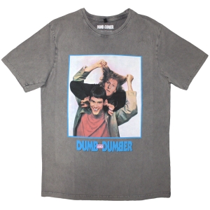 Dumb & Dumber Movie - Movie Poster Stone Wash Uni Grey T-Shirt in der Gruppe MERCHANDISE / T-shirt / Film-Musikal bei Bengans Skivbutik AB (5593176r)