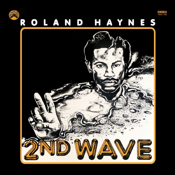 Haynes Roland - Second Wave (Blue W/ Black Swirl Vi in der Gruppe VINYL / Bestseller bei Bengans Skivbutik AB (5593284)