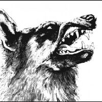 Crippled Black Phoenix - I, Vigilante in der Gruppe VINYL / Kommande / Pop-Rock bei Bengans Skivbutik AB (5594235)