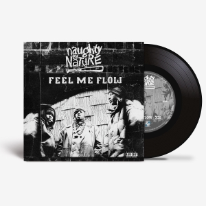 Naughty By Nature - Feel Me Flow in der Gruppe Övrigt /  bei Bengans Skivbutik AB (5594351)