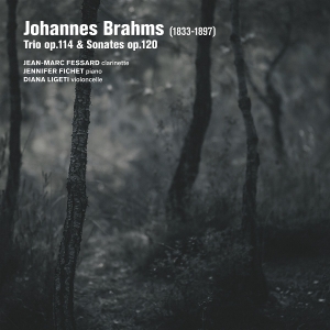 Jean-Marc Fessard & Jennifer Fichet & Diana Ligeti - Brahms: Trio Op. 114 Sonates Op. 120 in der Gruppe Övrigt /  bei Bengans Skivbutik AB (5594394)