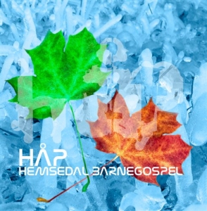 Hemsedal Barnegospel - Håp in der Gruppe Externt_Lager / Naxoslager bei Bengans Skivbutik AB (560089)