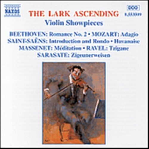 Various - The Lark Ascending in der Gruppe CD / Bestseller bei Bengans Skivbutik AB (560134)