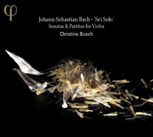 Bach - Sei Solo in der Gruppe CD / Övrigt bei Bengans Skivbutik AB (560829)