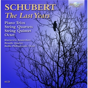 Schubert - The Last Years in der Gruppe Externt_Lager / Naxoslager bei Bengans Skivbutik AB (561396)